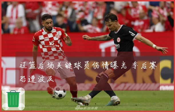 辽篮后场关键球员伤情曝光 季后赛恐遭波及
