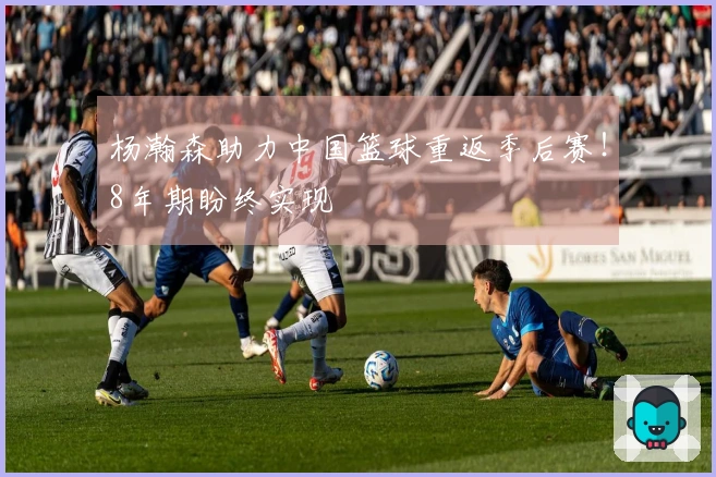 杨瀚森助力中国篮球重返季后赛！8年期盼终实现