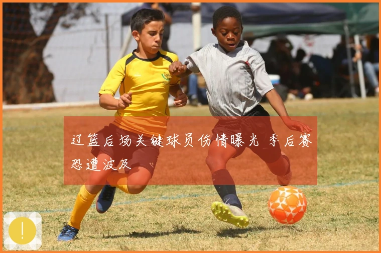 辽篮后场关键球员伤情曝光 季后赛恐遭波及